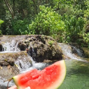 PASADIA RESERVA FORESTAL MONTES DE OCA