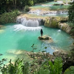 PASADIA RESERVA FORESTAL MONTES DE OCA