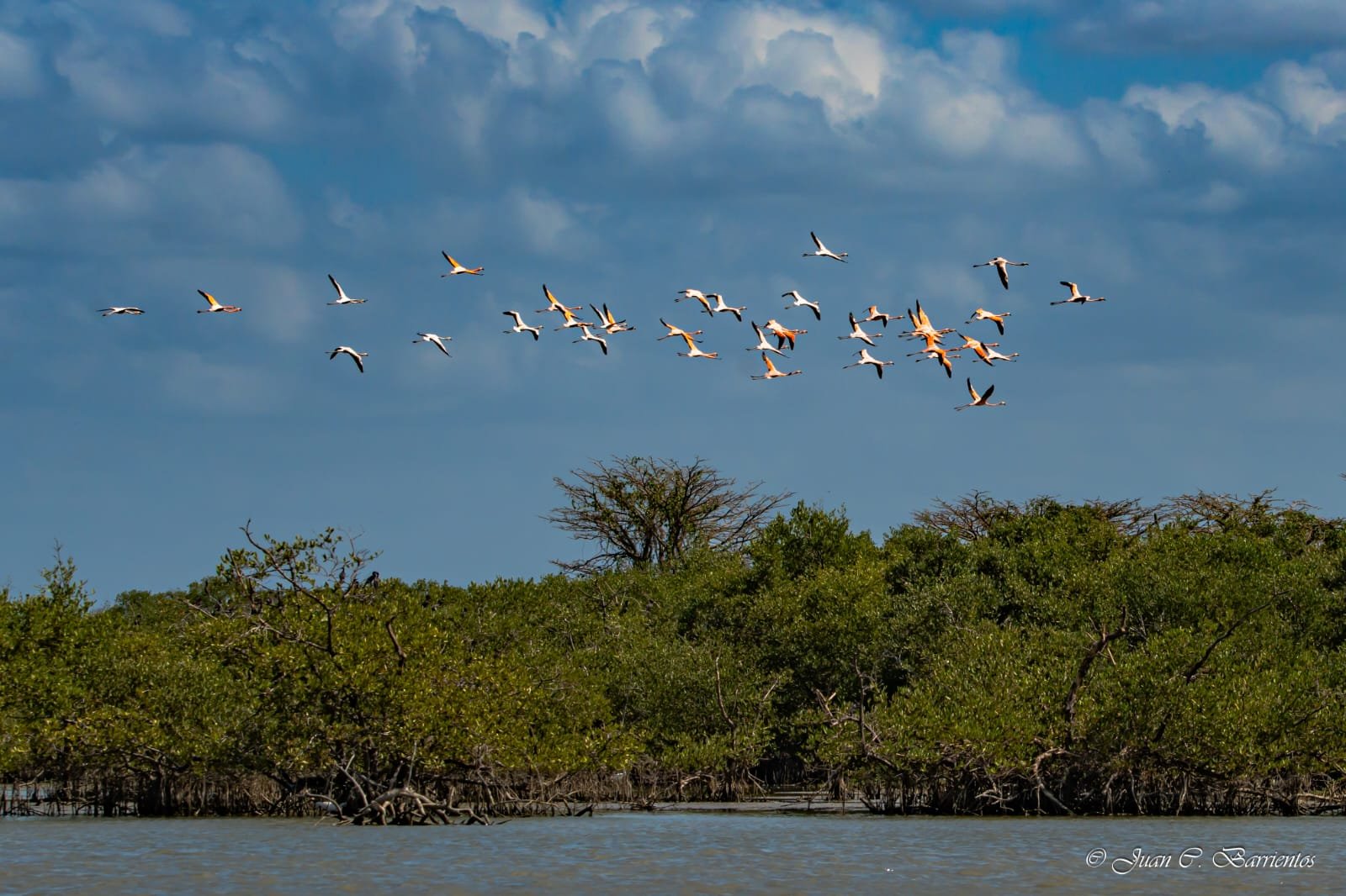 GUAJIRA EXTREMA - Imagen 13