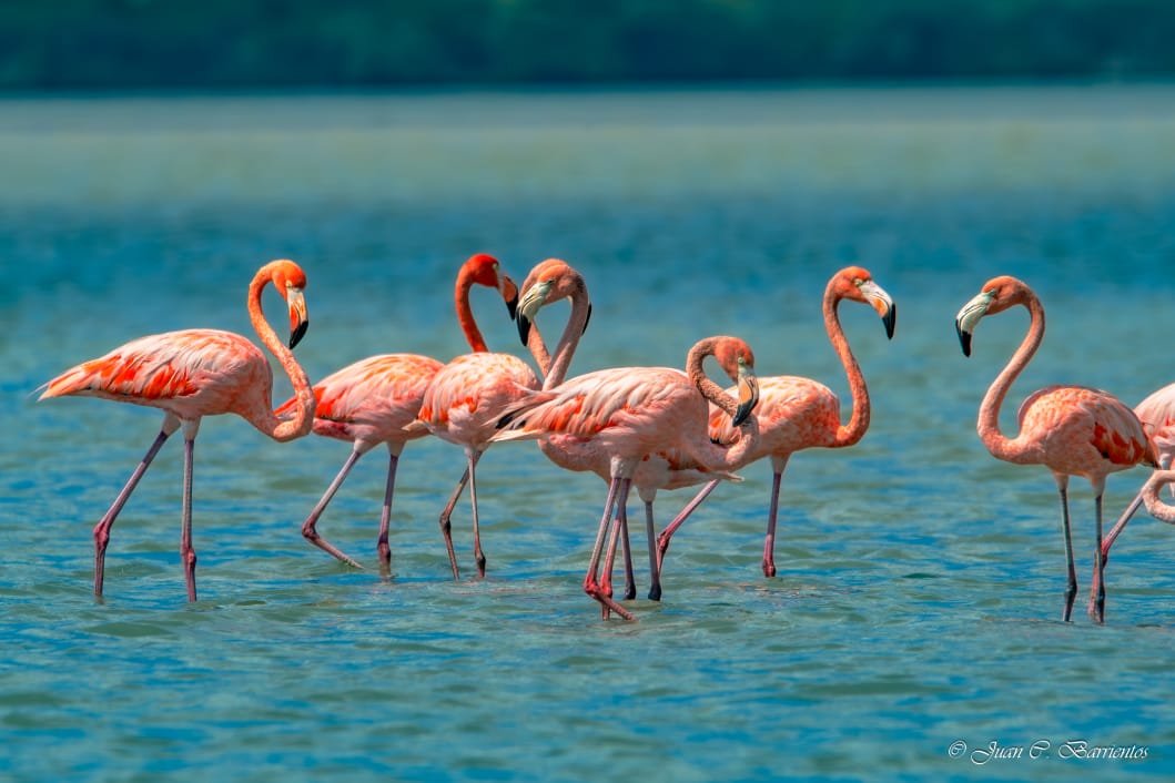 GUAJIRA EXTREMA - Imagen 12