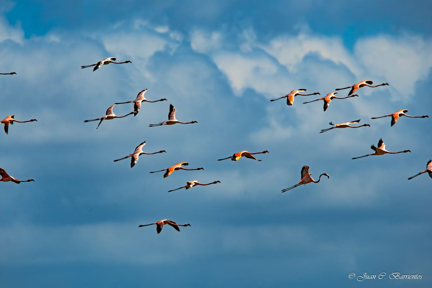 GUAJIRA EXTREMA - Imagen 14